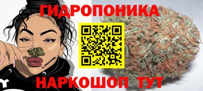 дживик Кандалакша