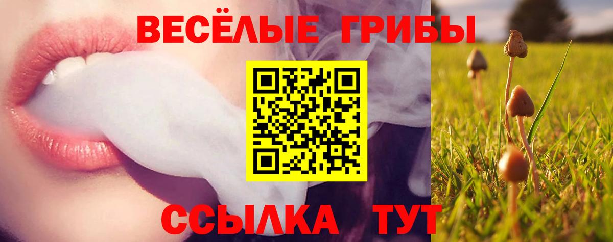 Псилоцибиновые грибы Cubensis Шатура